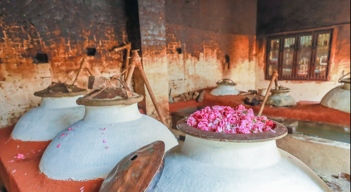 Making attars since 1818 in Kannauj, India | The art of perfume making ...
